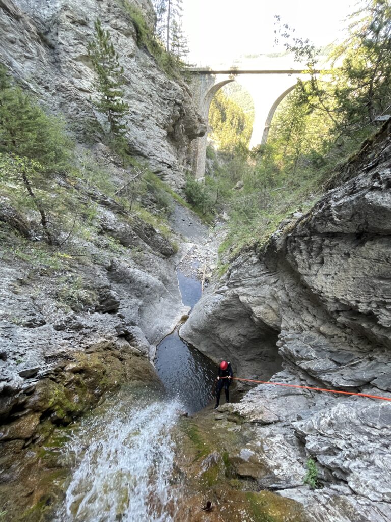 IMMERSION NATURE
