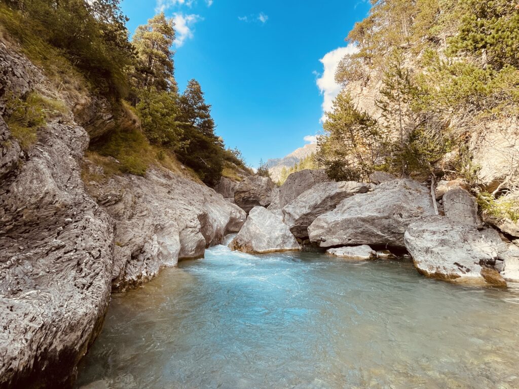 IMMERSION NATURE