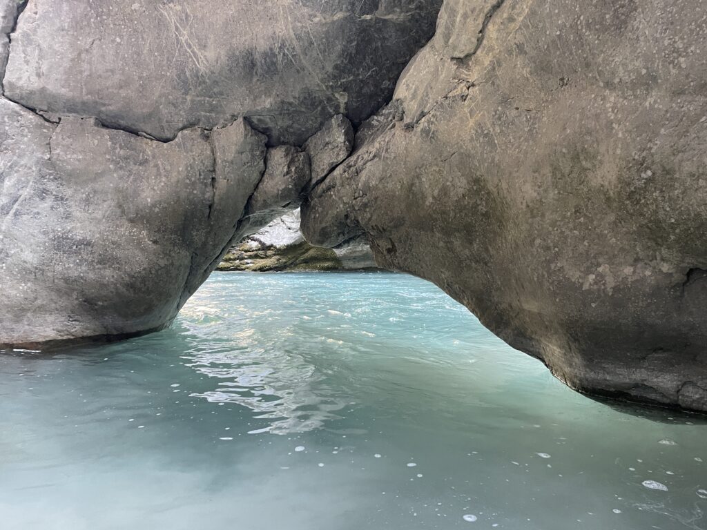 IMMERSION NATURE