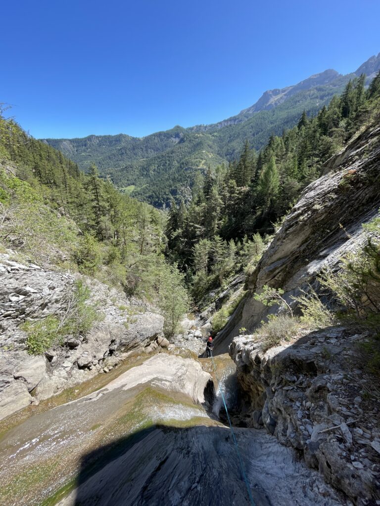 IMMERSION NATURE