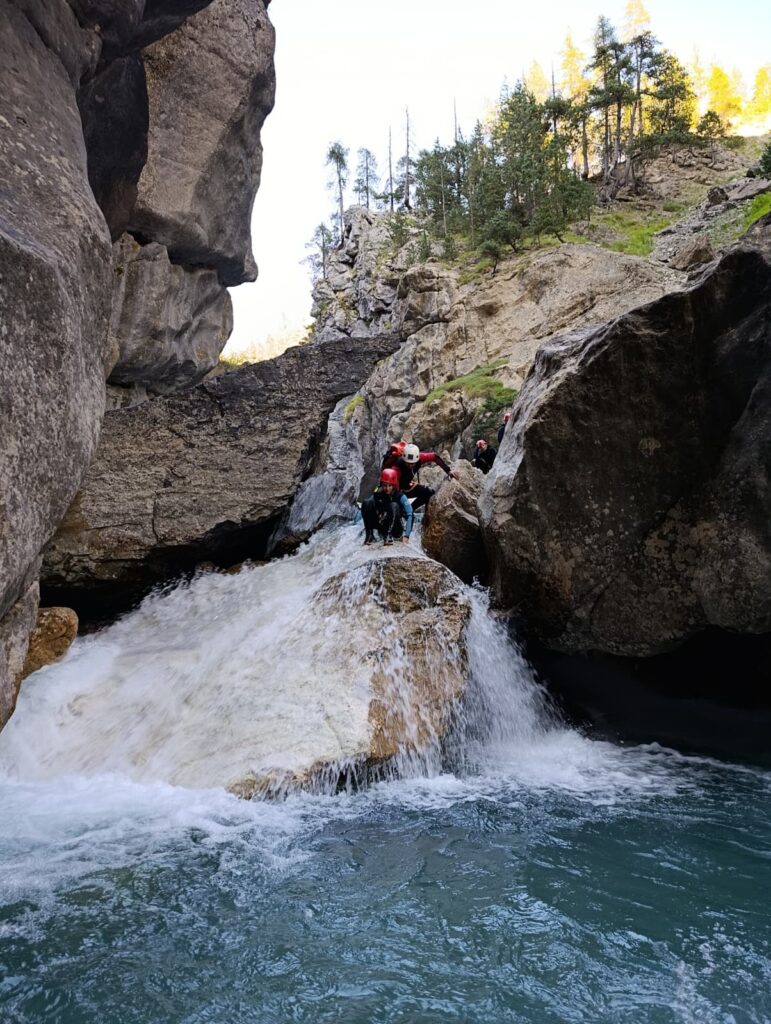 IMMERSION NATURE